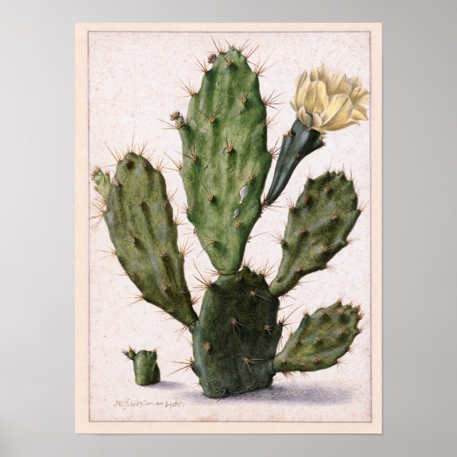 Póster 🌵 de cactus florecientes (Frente)