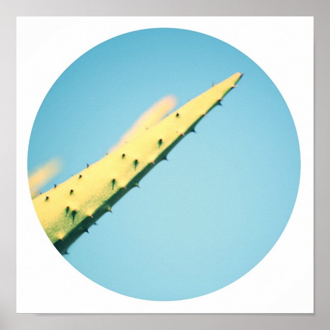 Póster de Cactus Verde Elegante con Espinas y Ciel (Frente)