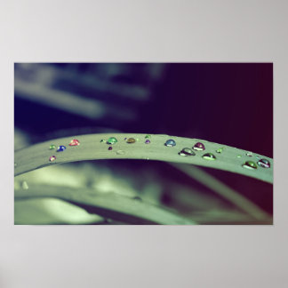 Poster de caídas arco iris / impresión con marco