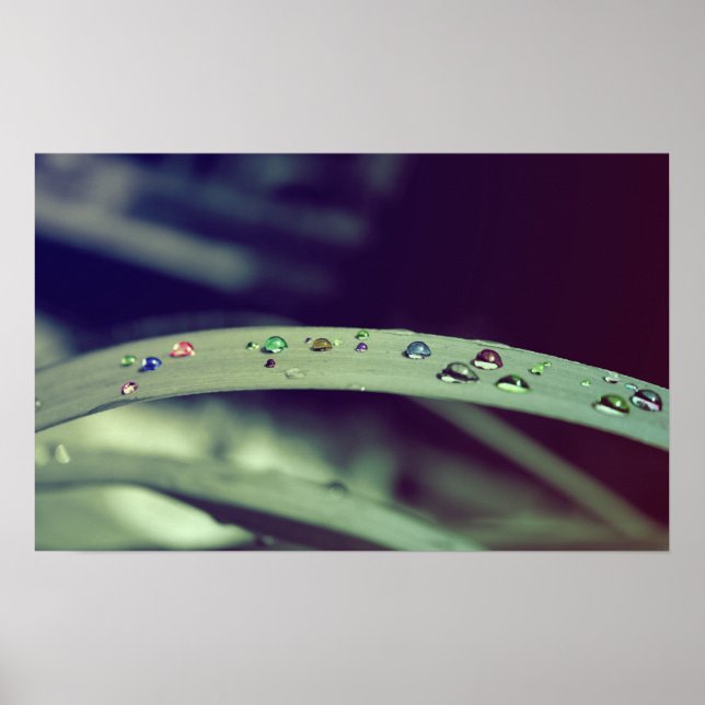 Poster de caídas arco iris / impresión con marco (Frente)