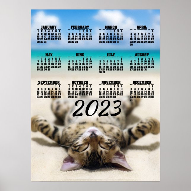 Póster de calendario 2023 de gato tomando el sol e (Frente)