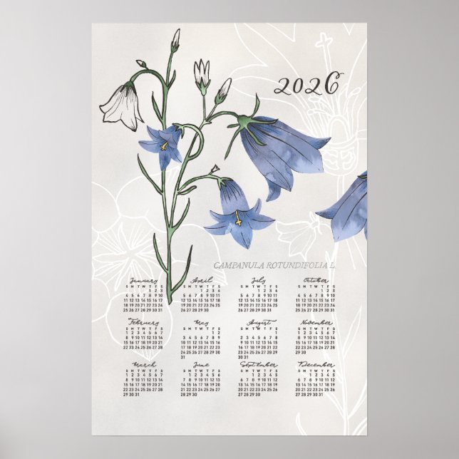 Póster de calendario 2026 Flor de campanilla botán (Frente)