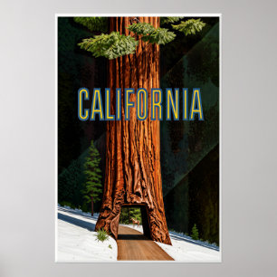 Póster de California