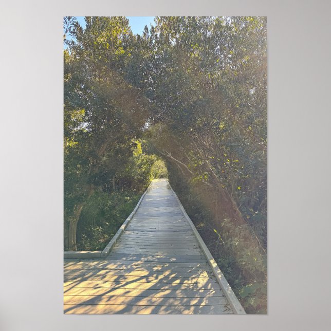 Póster de camino del parque (Frente)