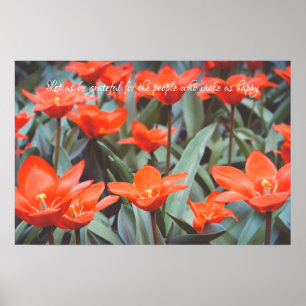 Póster de campo de tulipanes rojos