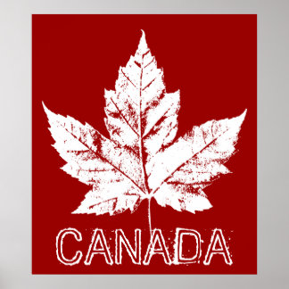 Póster de Canadá Hoja de Arce de Canadá Impresión
