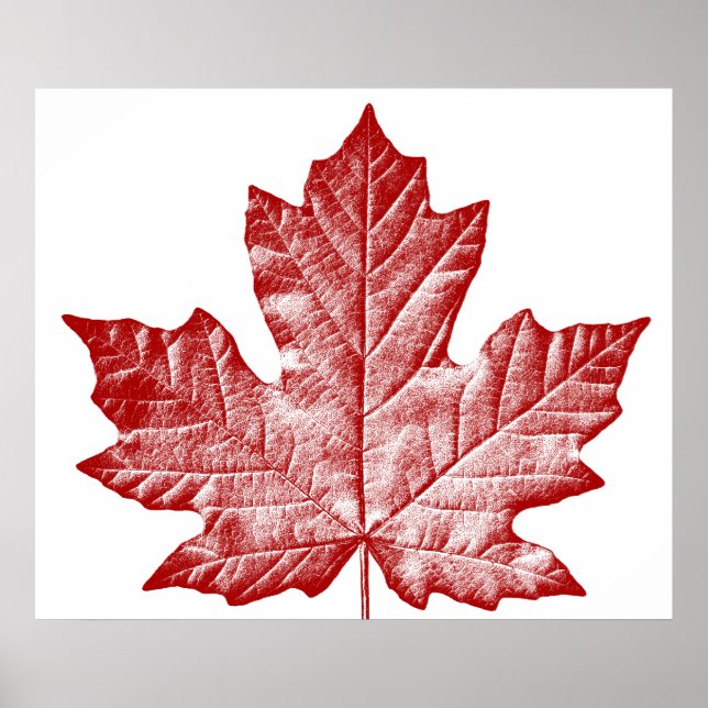 Póster de Canadá Hoja de Arce de Canadá Impresión  (Frente)