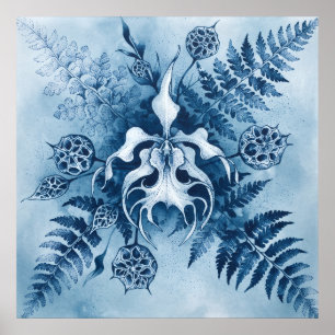 Póster de cápsula de semilla de helecho orquídea c