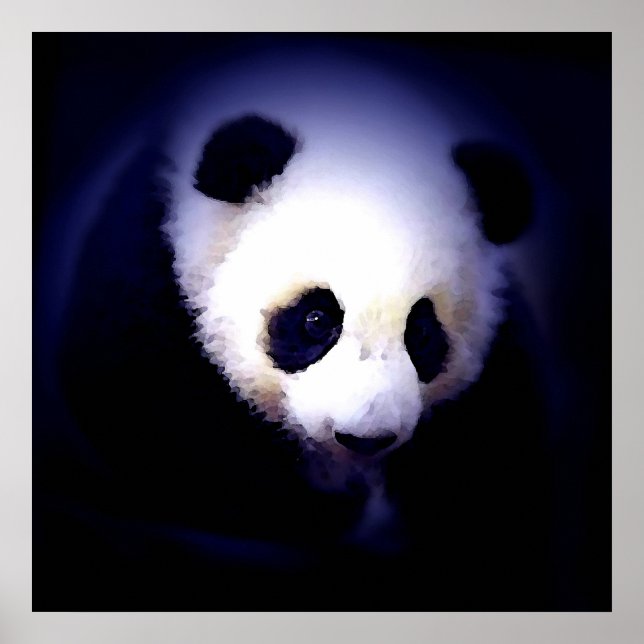 Póster de Cara de Panda - Impresiones de Pósters d (Frente)