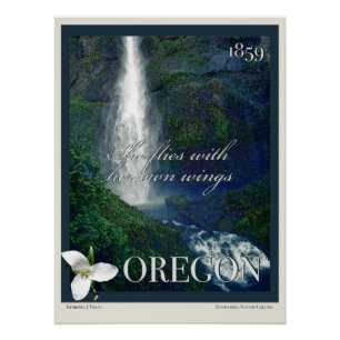 Poster de Cascada de Oregon