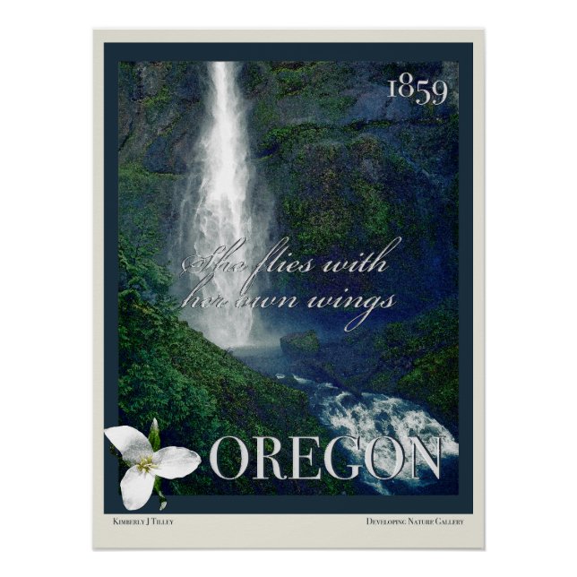 Poster de Cascada de Oregon (Anverso)