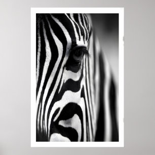 Póster de cebra de vida silvestre, rayas monocroma