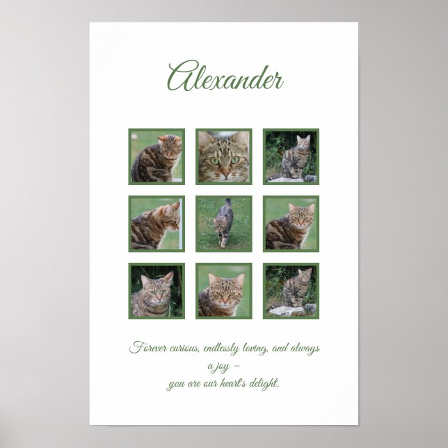 Póster de Celebración de Mascota Personalizable (Frente)