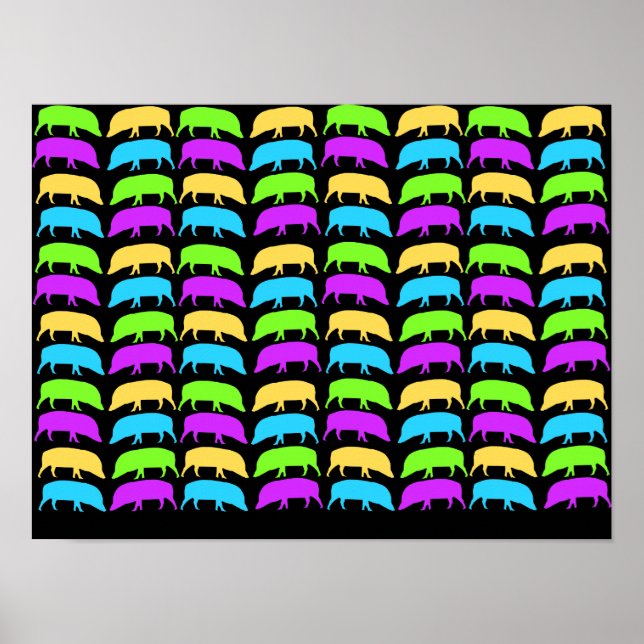 Póster de cerdos multicolores (Frente)