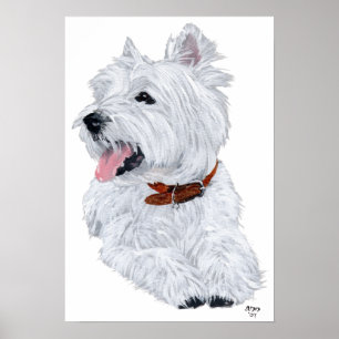 Póster de Chef Terrier West Highland Blanco
