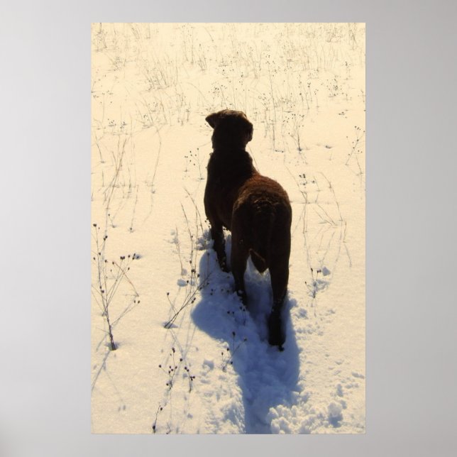 Póster de Chessie (Frente)