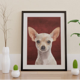 Poster de Chihuahua