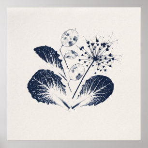 Póster de cianotipo botánico de Allium Lunaria Índ