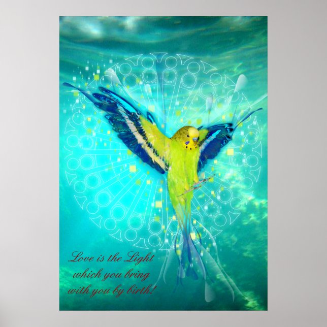 Póster De cielo a tierra - Poster (Frente)