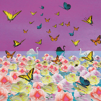 Póster de cisnes al atardecer