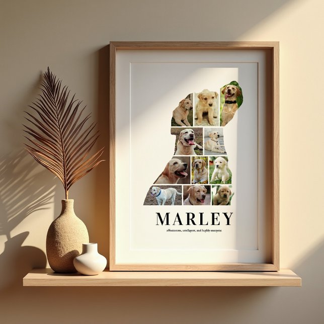 Póster de Colage de Fotos Personalizado de Labrado (Subido por el creador)