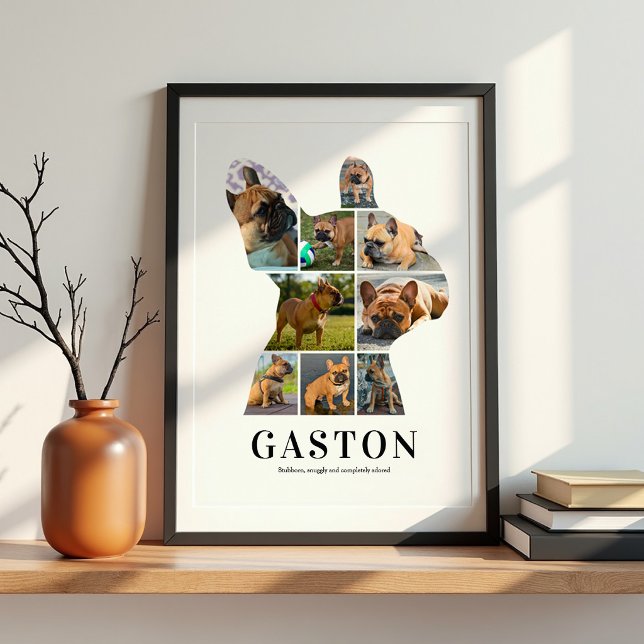 Póster de collage de fotos personalizado de Bulldo (Subido por el creador)