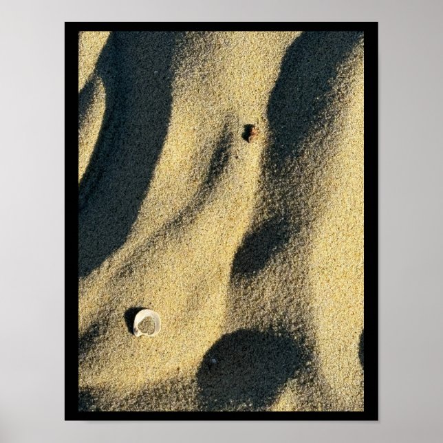 Póster de Conchas Arena y Sombras (Frente)