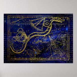 póster de constelación de gato y serpiente