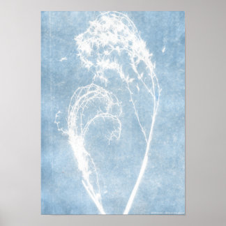 Póster de Corazón de Planta Cianotipo Azul