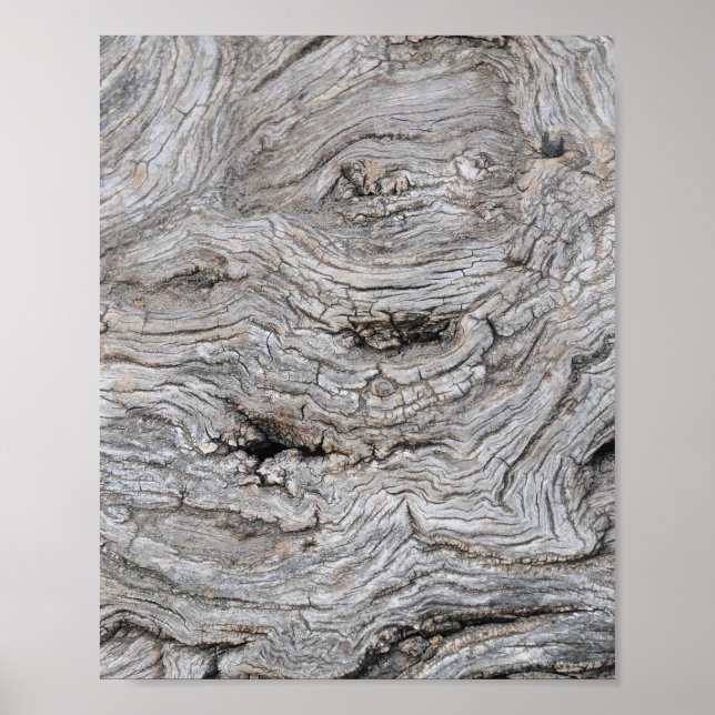 Póster de corteza de olivo antiguo con textura (Frente)