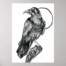 Póster de Cuervo Amistoso