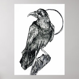 Póster de Cuervo Amistoso