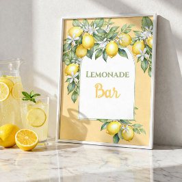 Póster de cumpleaños de barra de limonada