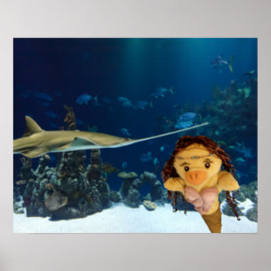 Póster de Danni la Sirena