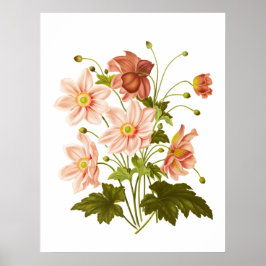Poster de decoración floral de época