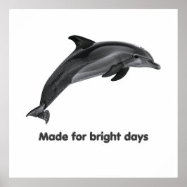 Póster de delfines costeros