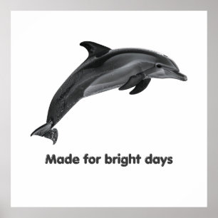 Póster de delfines costeros