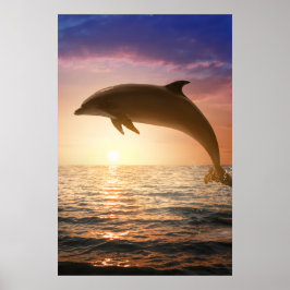 Póster de delfines costeros
