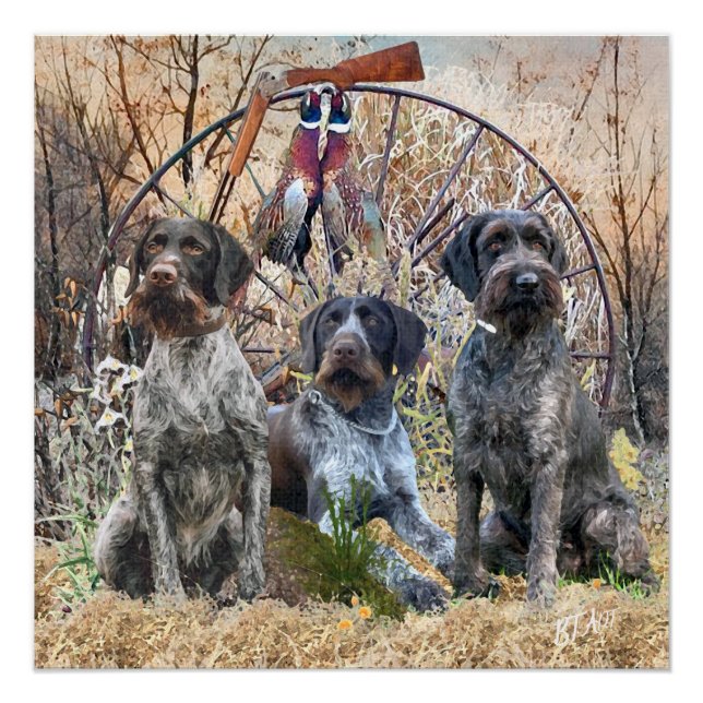 Poster de Deutsch Drahthaar (Anverso)