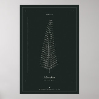 Póster de dibujo de línea botánica de helecho, Dar