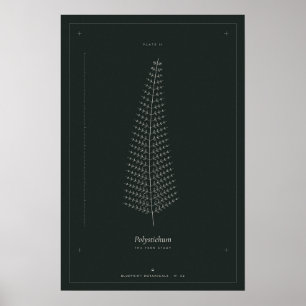 Póster de dibujo lineal botánico de helecho, Dark