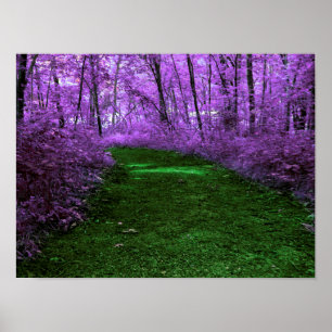 Poster de diseño de arte digital de ruta de bosque