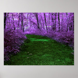 Poster de diseño de arte digital de ruta de bosque
