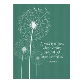 Poster de diseño de Dandelion