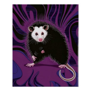 Poster de diseño Opossum Wall Art Purple Black