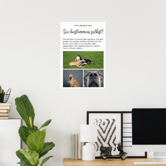 Póster de Dogos para personalizar