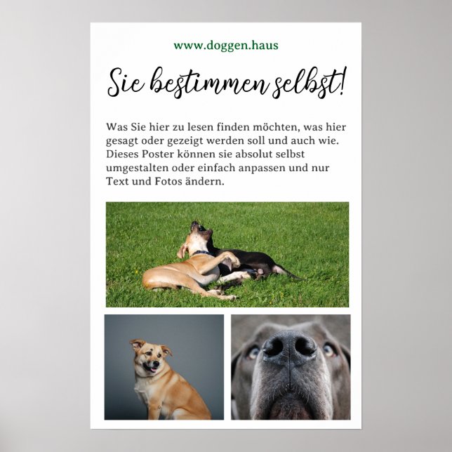 Póster de Dogos para personalizar (Frente)