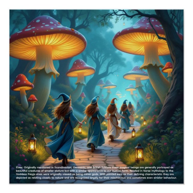 Poster de Elves Mushrooms (Anverso)