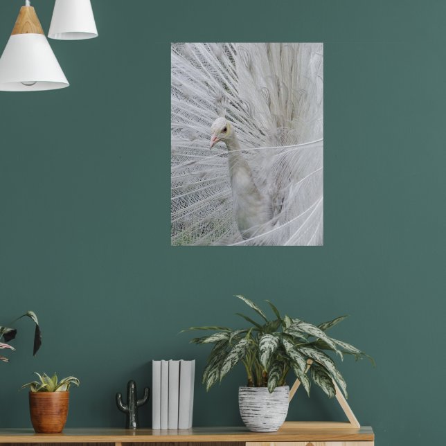 Póster de encaje blanco (Salón 1)