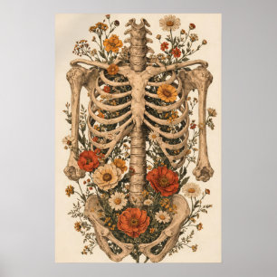 Póster de Esqueleto de Anatomía Floral, Botánica V